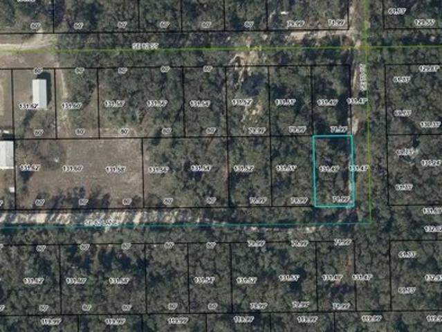 Land for sale in Trenton, Florida