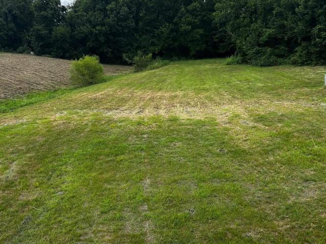 House for sale in Springfield, Kentucky