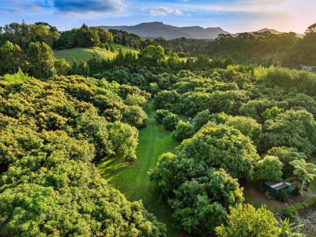 Property for sale in Aongatete, Bay Of Plenty