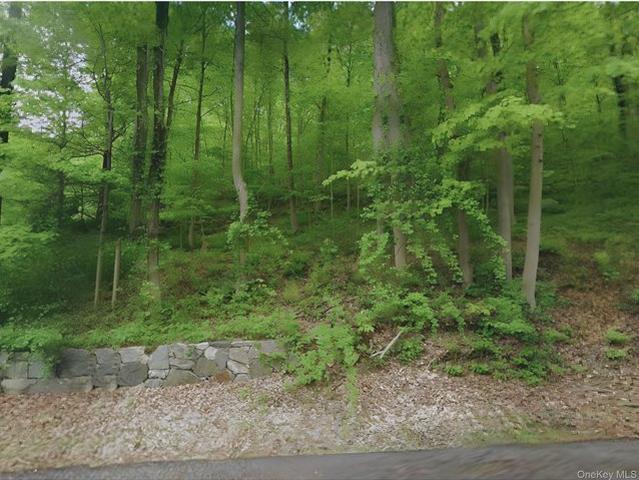 Land for sale in Putnam Valley, New York