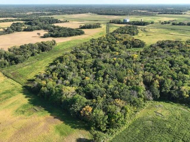 Land for sale in Becker, Minnesota