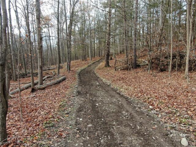 Land for sale in Honeoye, New York
