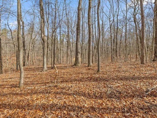 Land for sale in Tennessee