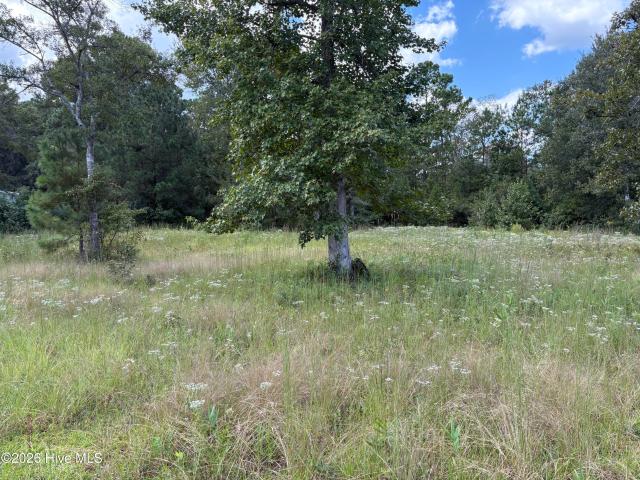 Land for sale in Bolivia, Brunswick County