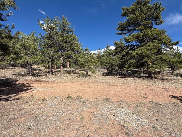 Land for sale in Hartsel, Colorado