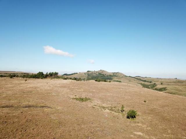 Farm for sale in Kwazulu-natal