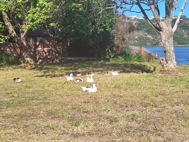 Land for sale in Groot Brak Rivier, Western Cape