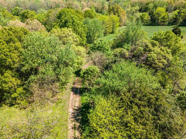 Land for sale in Tennessee