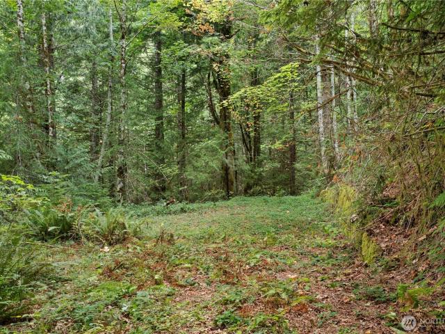 Land for sale in Hoodsport, Washington