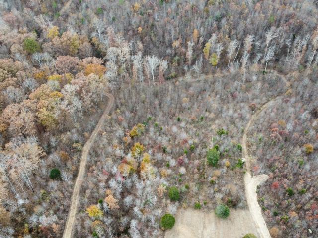 Land for sale in Tennessee