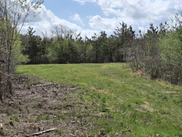 Land for sale in Tennessee