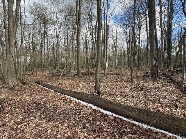 Land for sale in Boston, New York