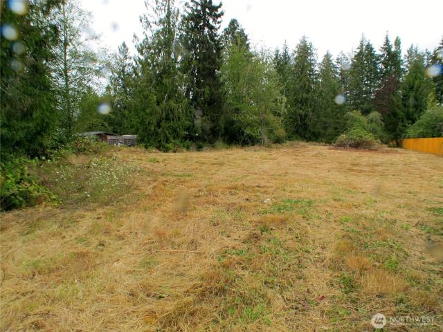 Land for sale in Tenino, Thurston County