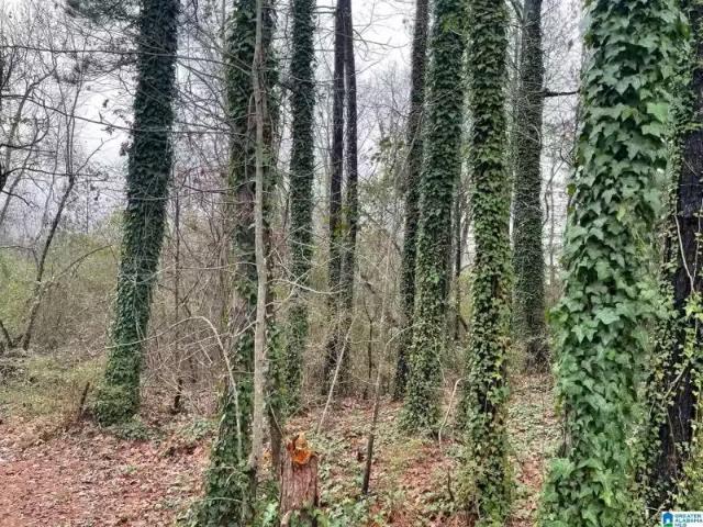 House for rent in Alabaster