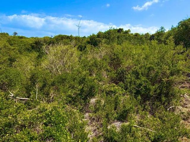 Land for sale in Eastern Cape