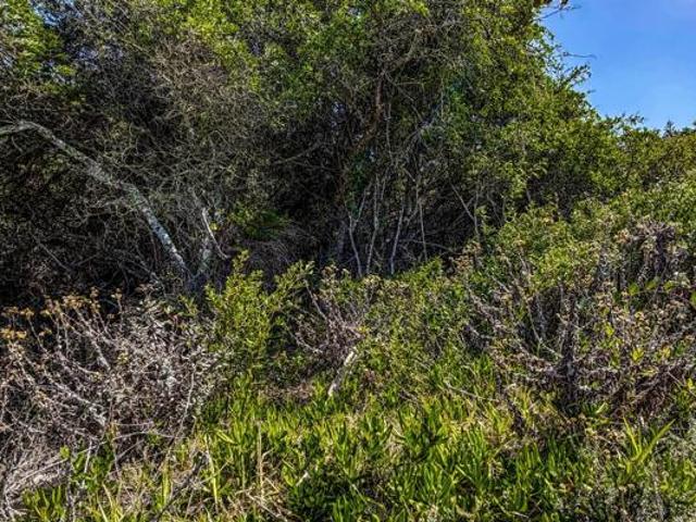 Land for sale in Eastern Cape