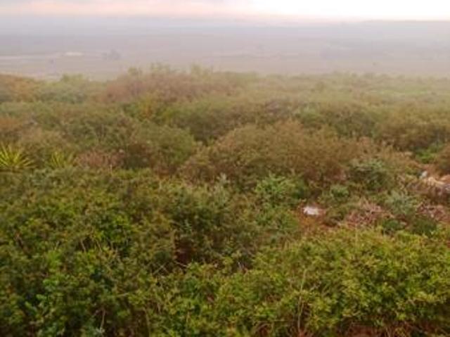 Land for sale in Western Cape