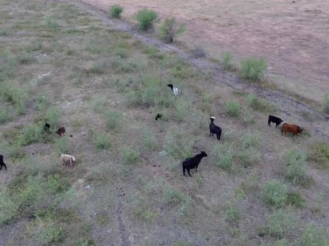 Land for sale in Sealy, Texas
