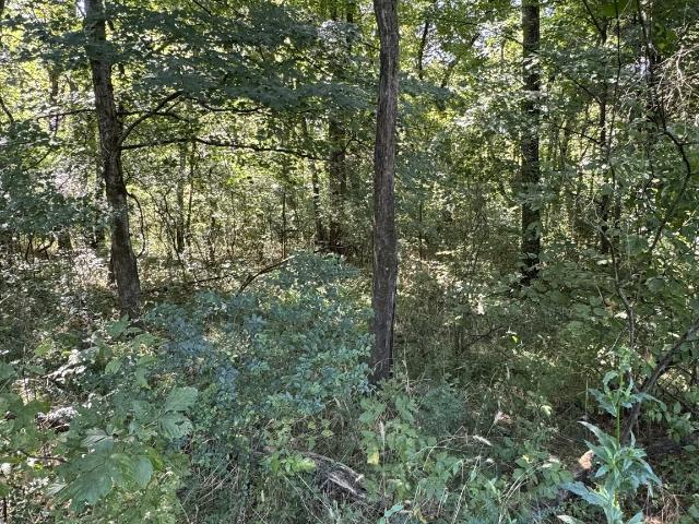 Land for sale in Tennessee
