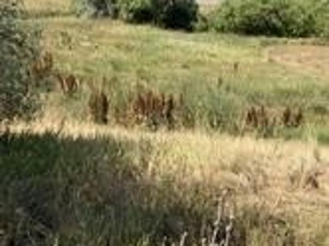 Land for sale in Arapahoe, Colorado