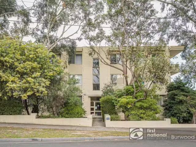 Apartment for rent in Box Hill