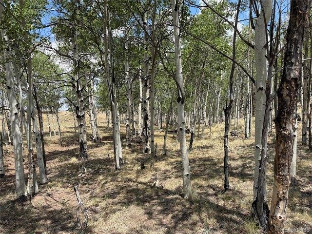 Land for sale in Hartsel, Park County