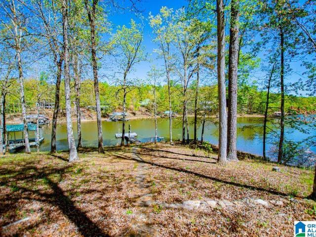 House for sale in Wedowee, Alabama