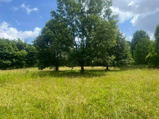 Land for sale in Tennessee