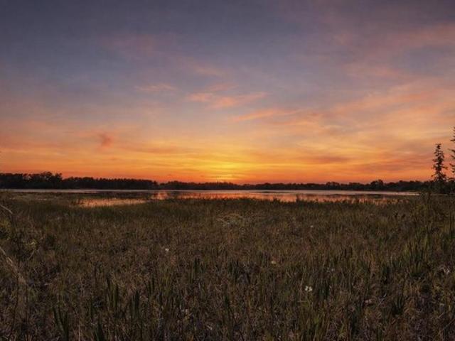 Land for sale in Groveland, Florida