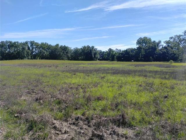 Land for sale in Suwannee, Florida