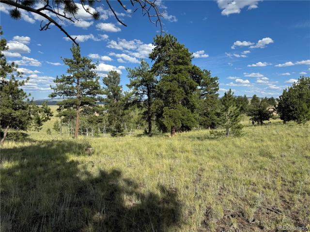 Land for sale in Hartsel, Colorado