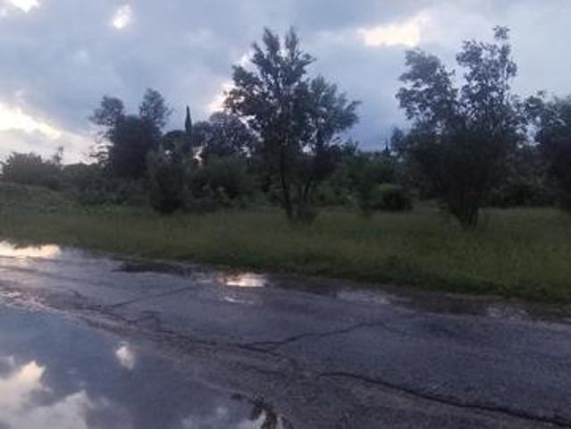 Land for sale in Lejweleputswa, Free State