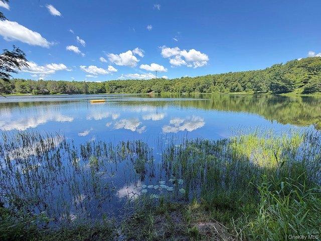 Land for sale in East Branch, New York