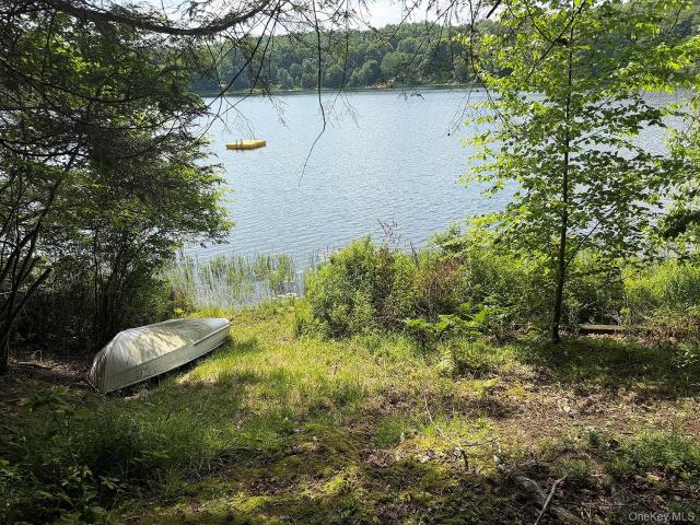 Land for sale in East Branch, New York