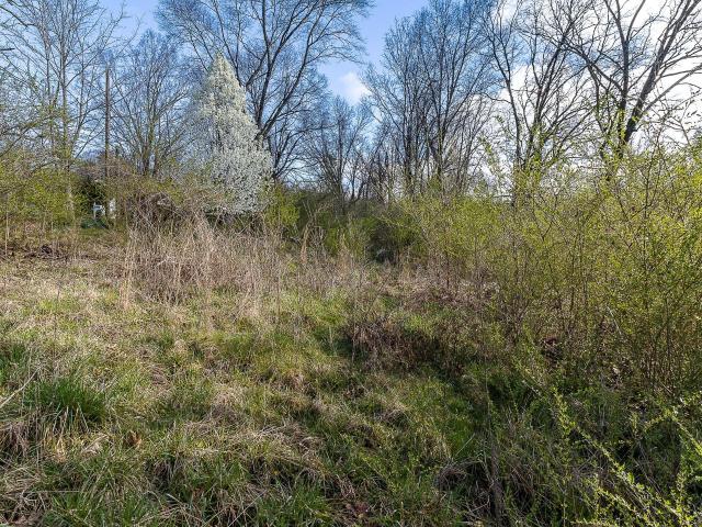 Land for sale in Tennessee