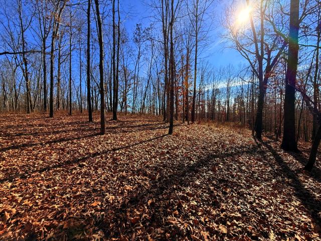 Farm for sale in Ark