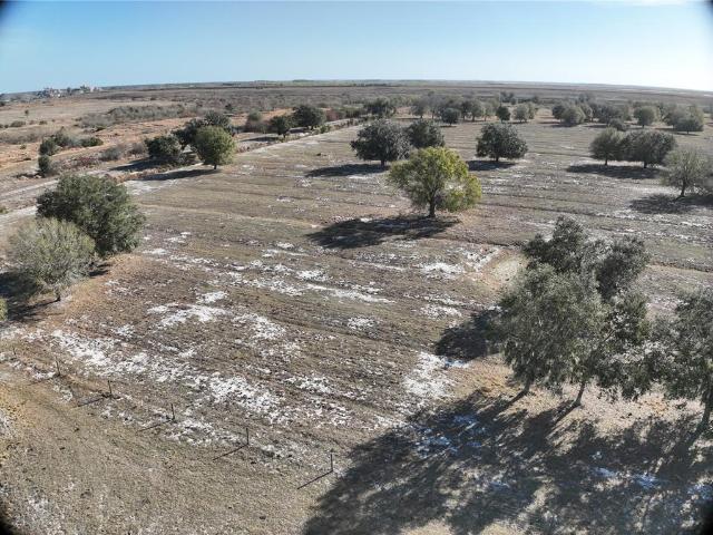 Land for sale in Myakka City, Florida