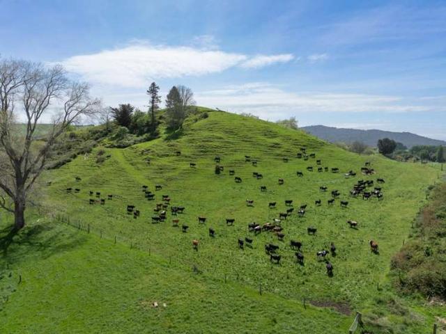 Property for sale in Matamata, Waikato