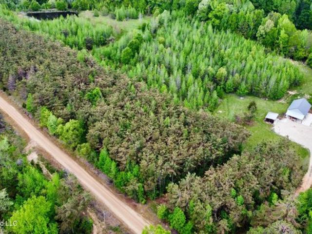 Land for sale in Lexington, Mississippi