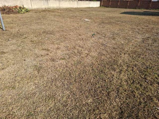 Land for sale in Seshego, Limpopo