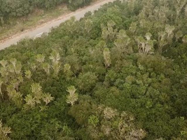 Land for sale in Bushmans River Mouth, Eastern Cape