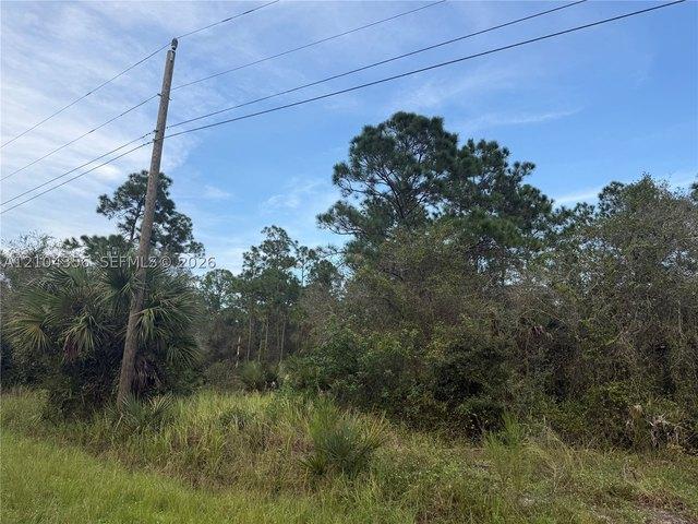 Land for sale in Clewiston, Hendry County