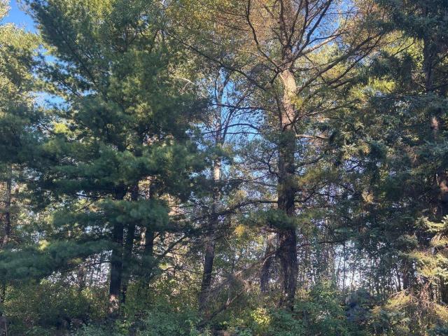 Land for sale in Town of Hawthorne, Douglas County