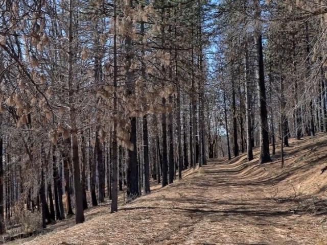 Land for sale in Lake, California