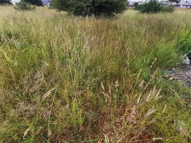 Land for sale in Seshego, Limpopo