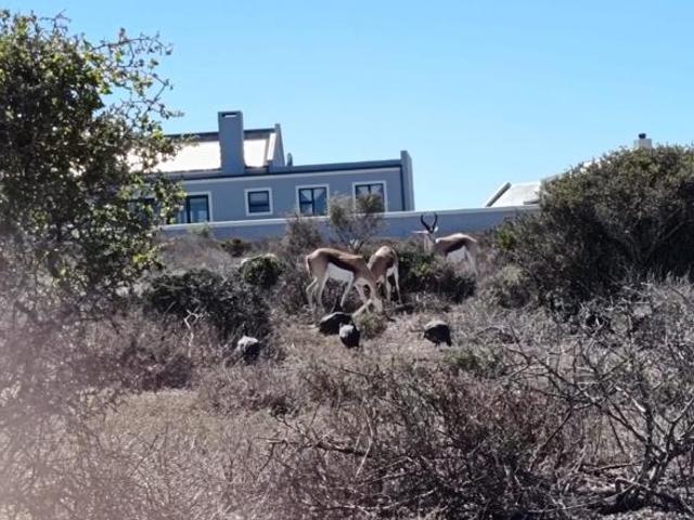 Land for sale in Western Cape