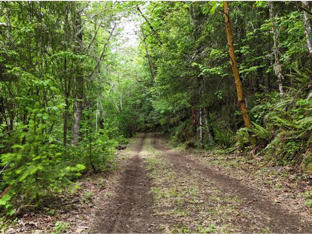 Land for sale in Fall Creek