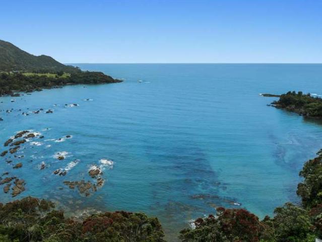 Land for sale in Bay Of Plenty