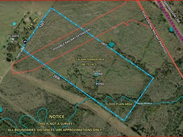 Land for sale in Wortham, Texas