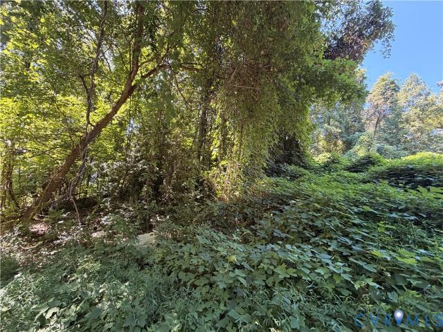 Land for sale in Martinsville, Henry County